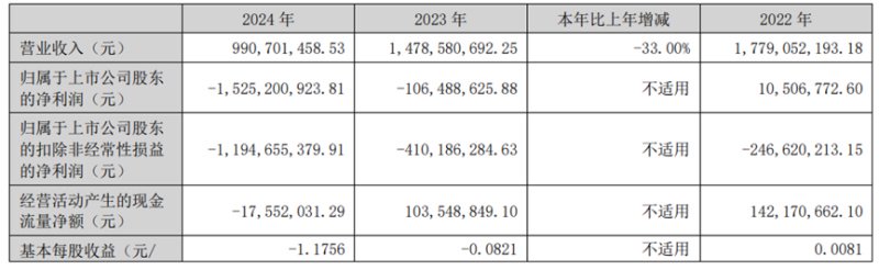（来源：海南海药年报）