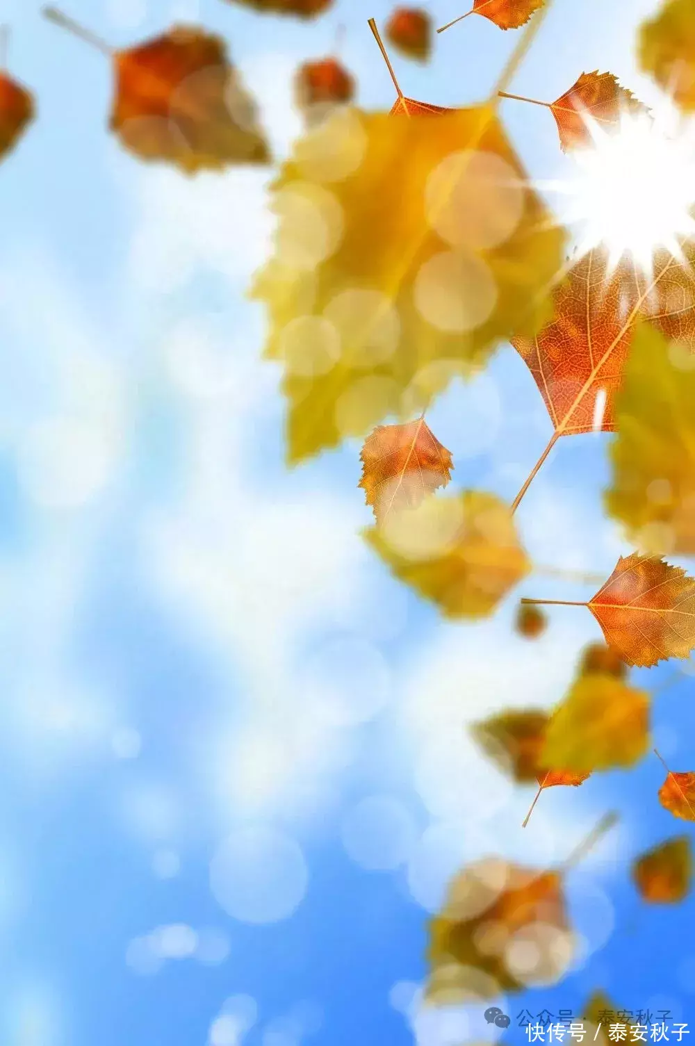 泰安配资 降温之后，“九分裤+短靴”又火了起来！你要试试么？