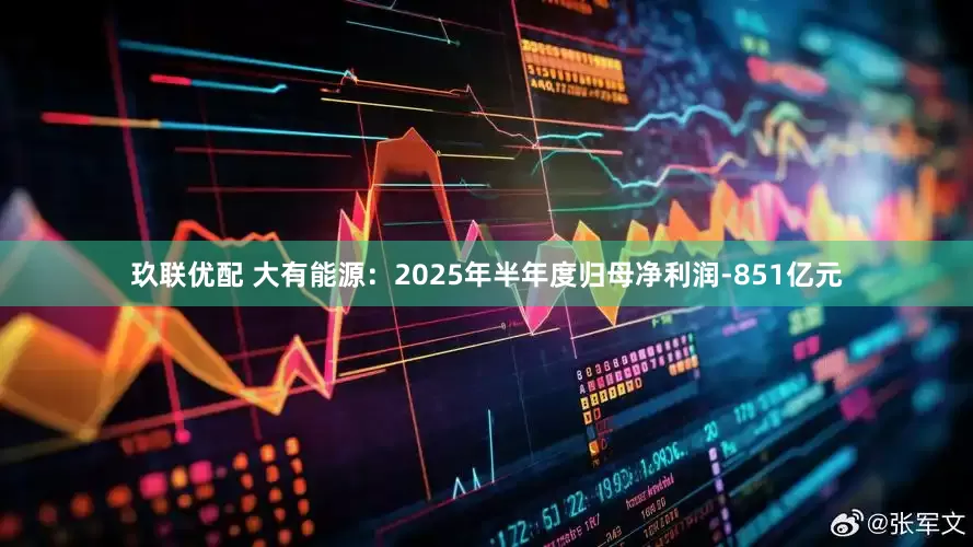 玖联优配 大有能源：2025年半年度归母净利润-851亿元