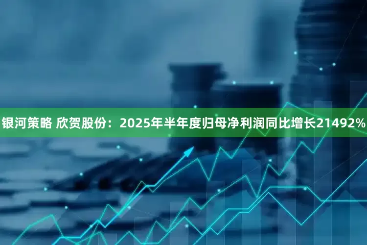 银河策略 欣贺股份：2025年半年度归母净利润同比增长21492%
